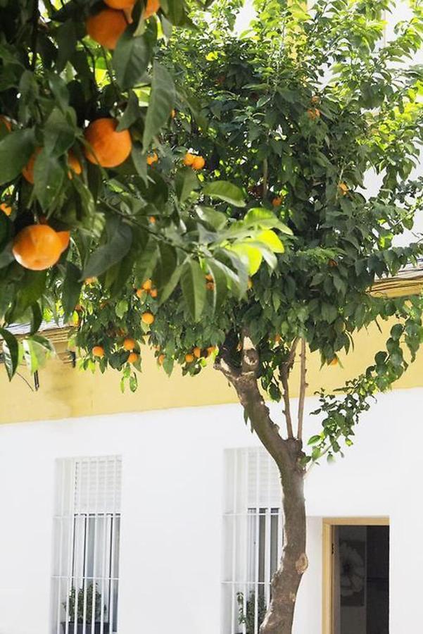 Apartamento Costasol Кордова Екстер'єр фото